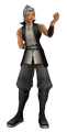 Meister Xehanort (Jung) BBS