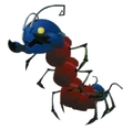 Arachnovicta KH