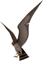 Hayabusa KHII