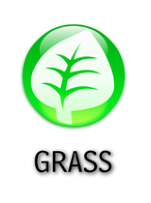 Grass typing on sale