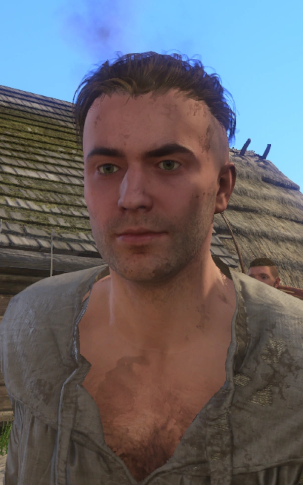 Хенслин Kingdom Come Deliverance Wiki Fandom