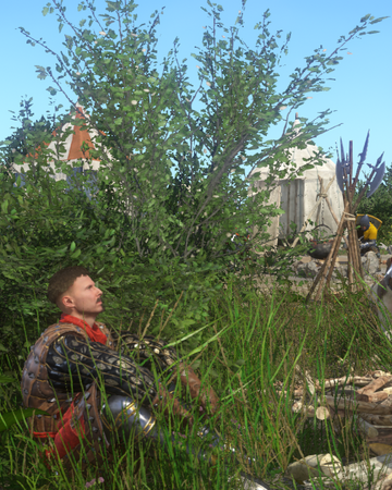 Zmeinoe Gnezdo Kingdom Come Deliverance Wiki Fandom