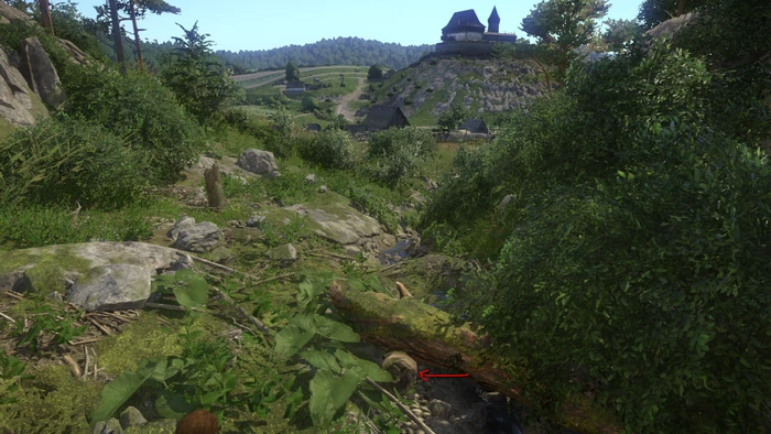 Kingdom come deliverance карта скалицких сокровищ