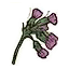 Icon herb comfrey.png