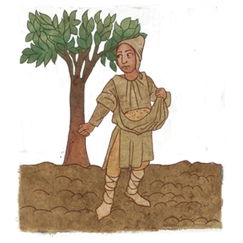 Craft sedlak.png