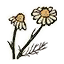 Icon herb chamomile.png