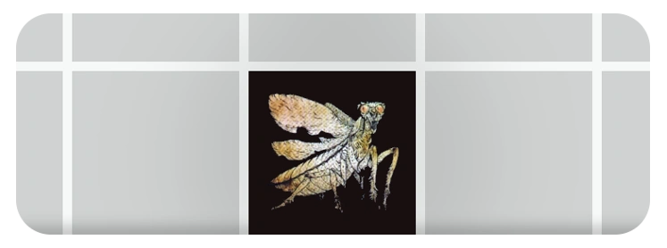 Bug Patch | Kingdom Death Wiki | Fandom
