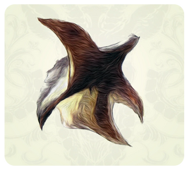 Pelt