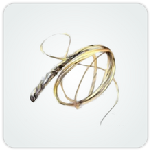 Rawhide Whip