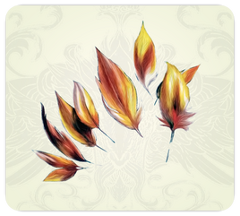 Small Feathers
