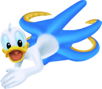 Donald Forma Calamar