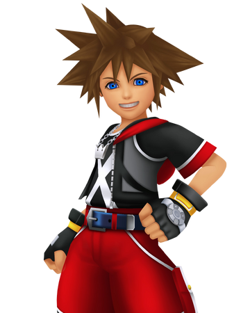3dのソラ Kingdom Hearts Wiki Fandom 3dのソラ Kingdom Hearts Wiki Fandom
