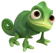 Pascal the Chameleon