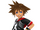 Sora 3Ds1.png