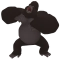Kerchak