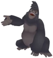 Tok