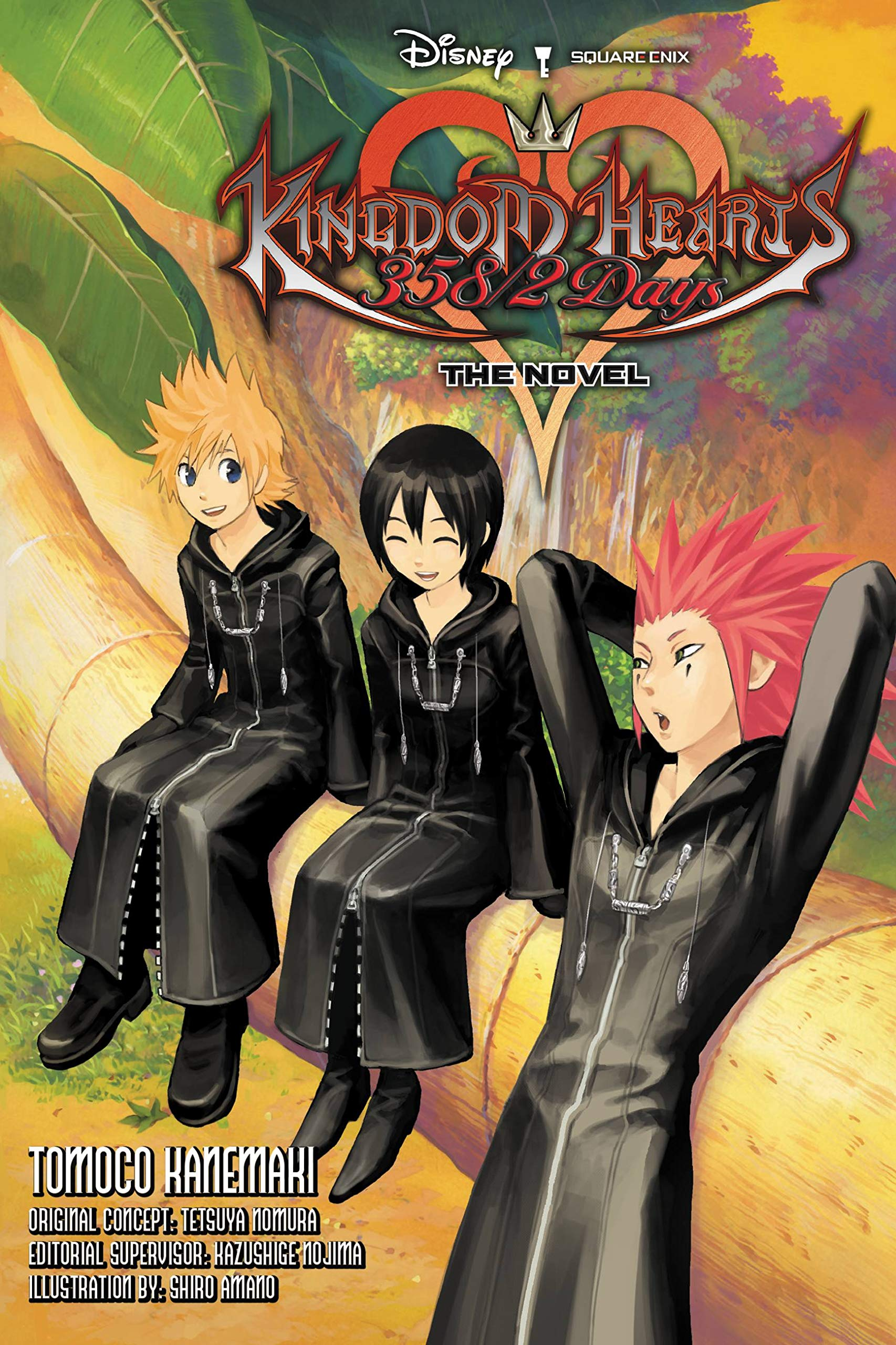 Kingdom Hearts 358/2 Days Kingdom Hearts HD 1.5 Remix Kingdom