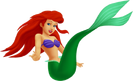 Ariel