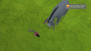 Chasse aux abeilles terminé.png