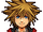 Sprite Sora N Valor.png