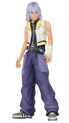 Riku {{KHBbS}}{{KH}}{{KHCoM}} {{KHII}}{{KHC}}{{KH3D}}