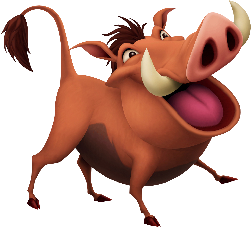 Timon And Pumbaa Kingdom Hearts Wiki Fandom