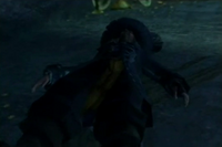 Barbossa Muerto