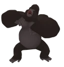 Kerchak