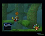 Sora se balance de liane en liane.