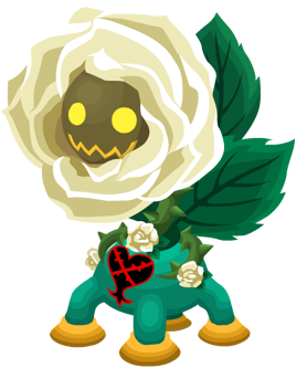 White Rose