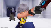 Ansem Defeated ReCoM