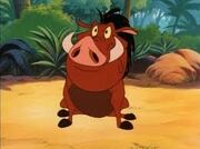 Pumba jpg