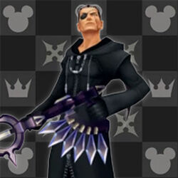 登場キャラクター Kingdom Hearts Wiki Fandom