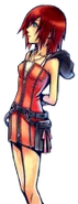 Kingdom Hearts II (Main outfit)