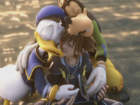 Sora con donald y goofy