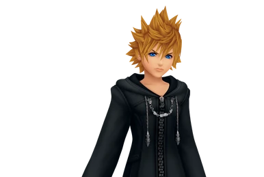 Vector to the Heavens | Kingdom Hearts Wiki | Fandom