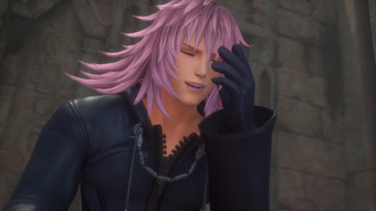 Marluxia Kingdom Hearts Wiki Fandom