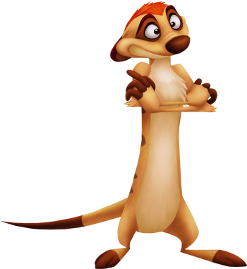 Timon