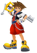 Recoded-sora-victory-pose