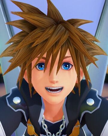 Kh0 2のソラ Kingdom Hearts Wiki Fandom