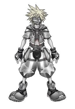 Sora (Expansion) | Kingdom Hearts Fan Fiction | Fandom