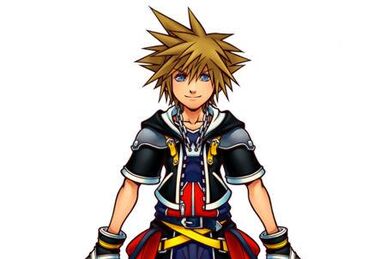Sora Kingdom Hearts BGS 10 Sora (Final Form) Japanese Endless