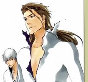 Gin-and-Aizen-bleach-anime-1792528-hYlod