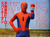 Toku Spider Man (SKW)