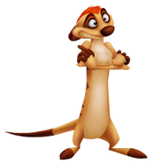 Timon