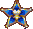 The token of Brightcrest