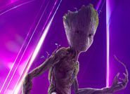 Groot