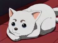 Sadaharu