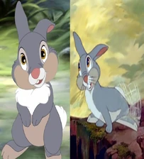 One of Bambi's oldest and closest friend.