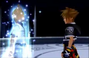 Roxas fade